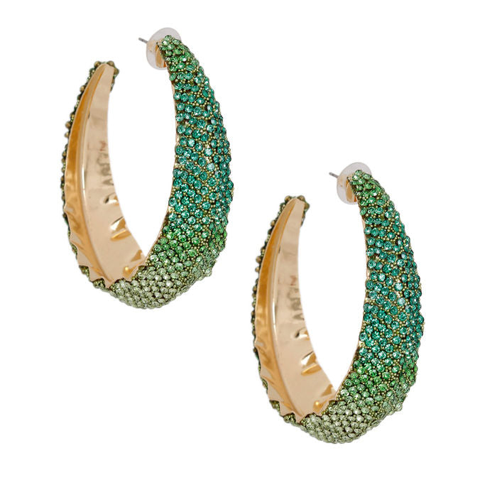 Hoops Color Ombre Bling Earrings for Women